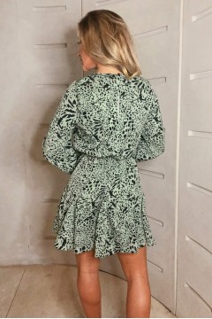 Mint Printed Pleated Skirt Skater Dress